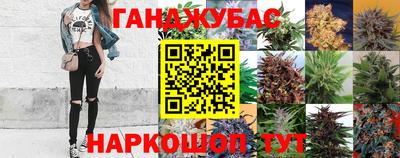 амф Гуково