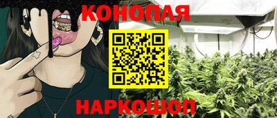 амф Гуково